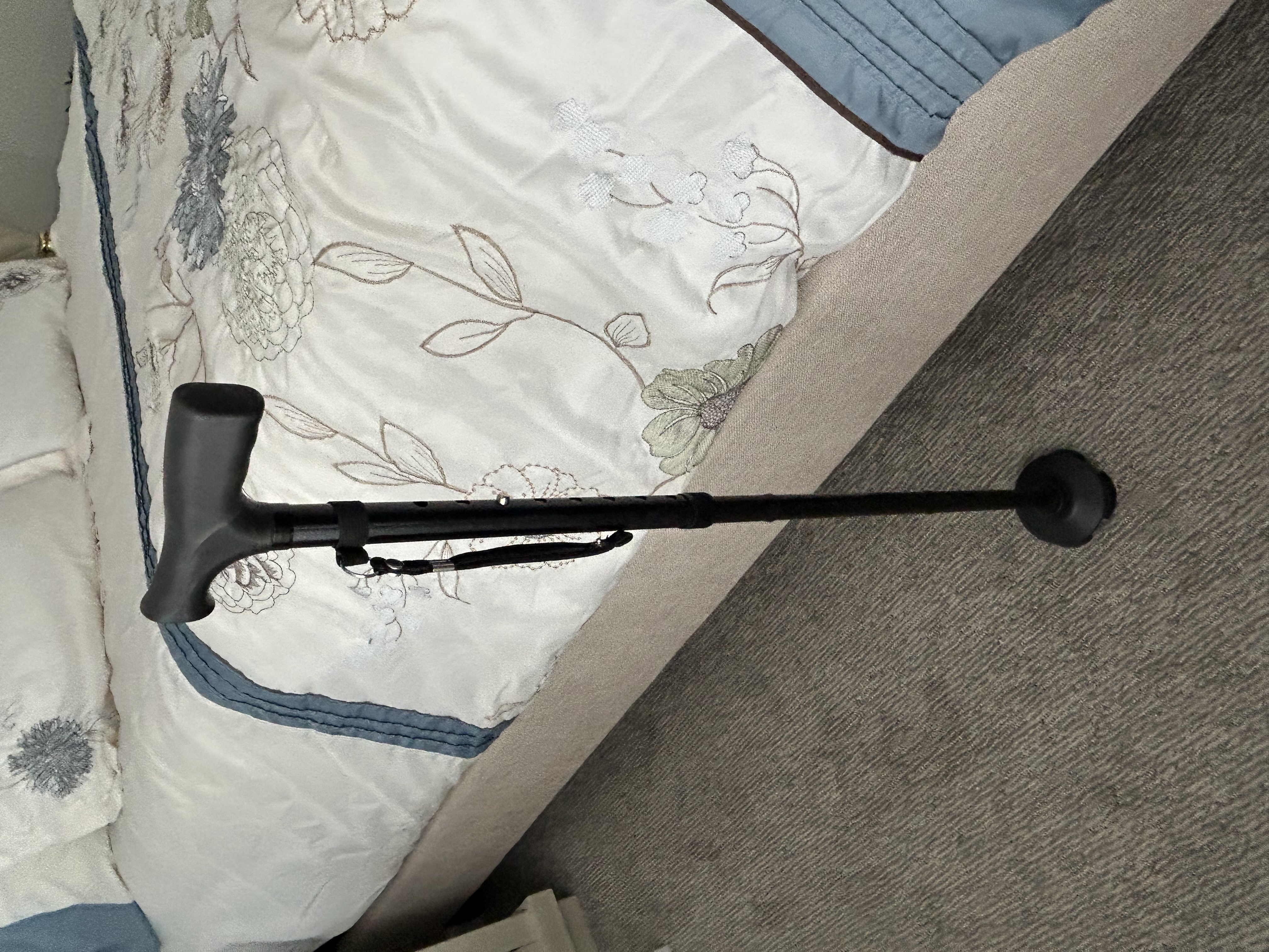 Walking Cane