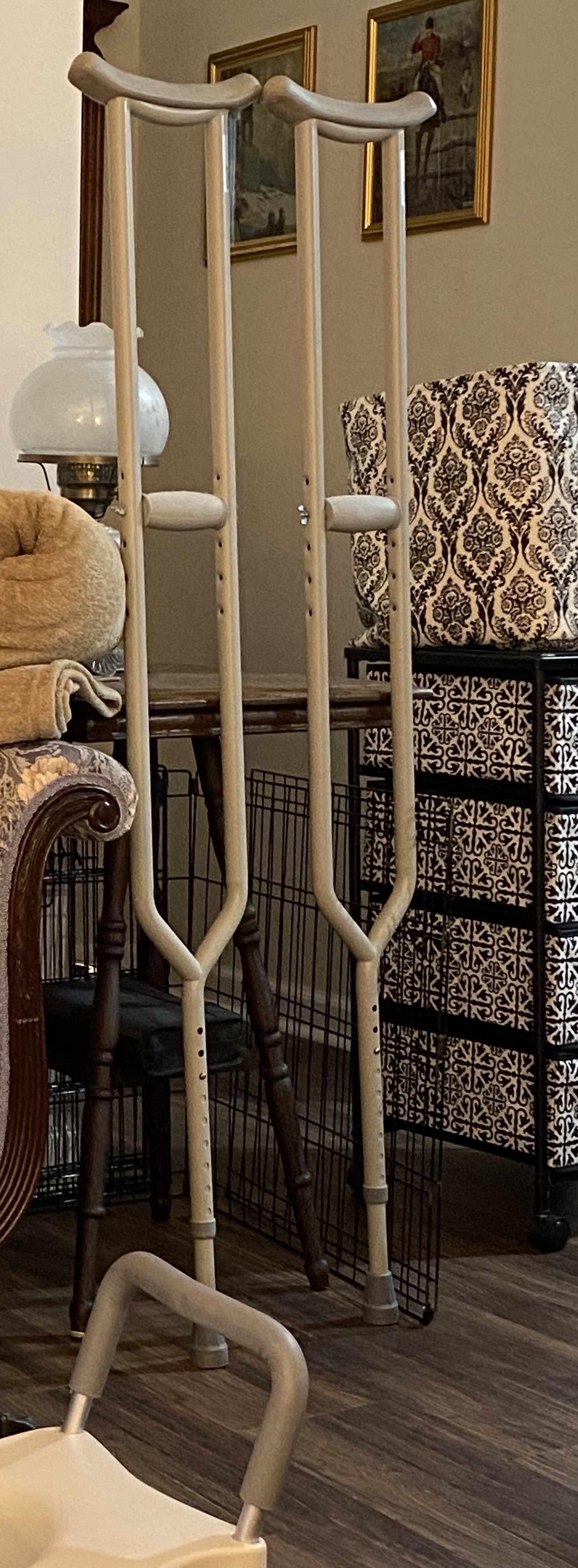 Crutches