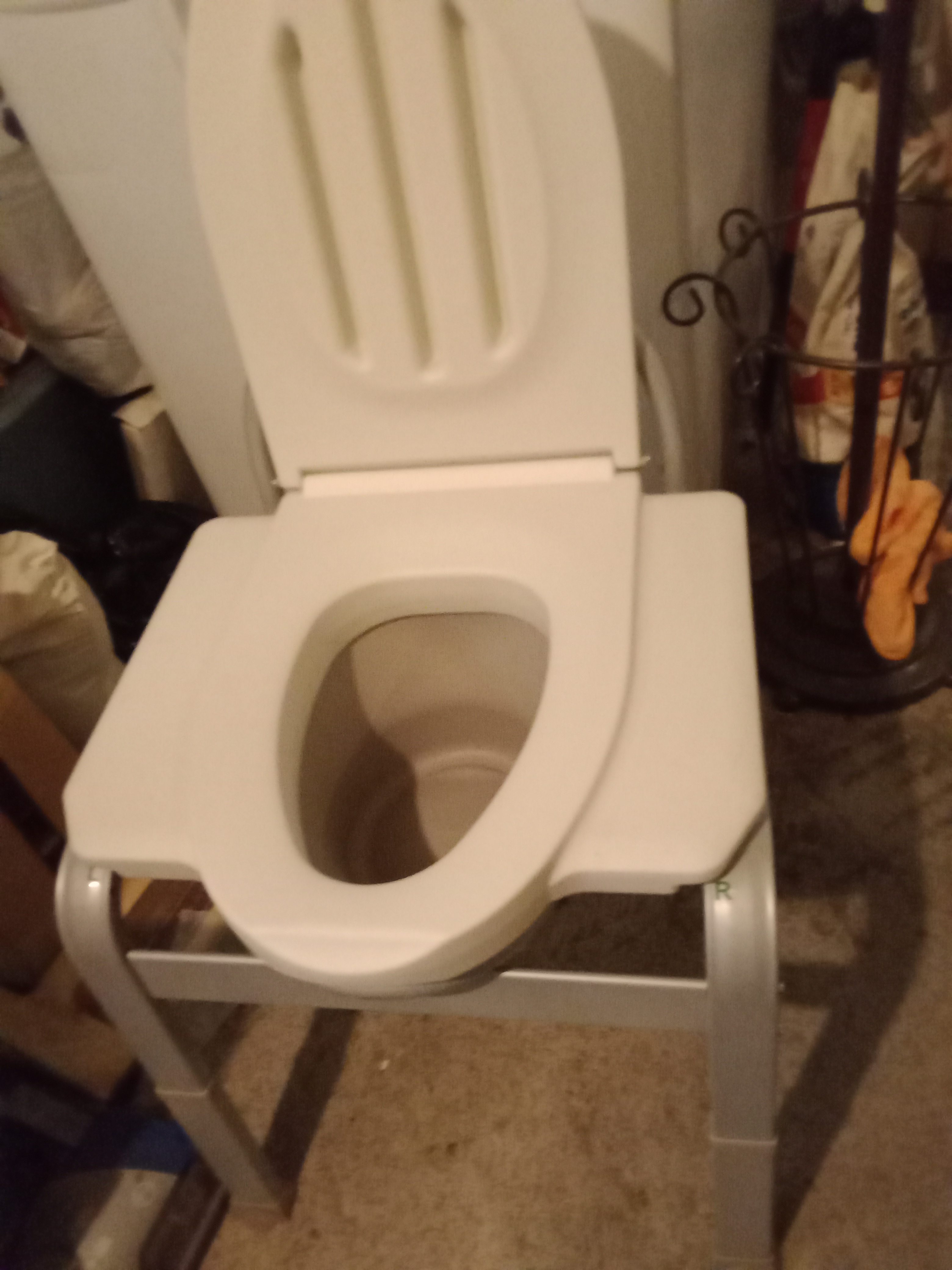 Shower/Toilet chair