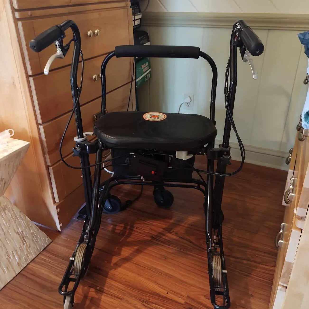 Walking Stabilizer with Laser